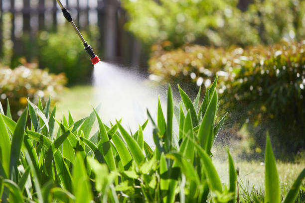 24/7 Emergency Mosquito Control experts in Hemet, CA