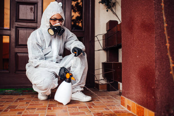 Reliable Mosquito Control contractor in Hemet, CA by Show Me Pest Control